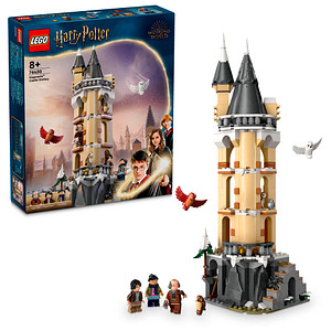 LEGO® Harry Potter 76430 Eulerei auf Schloss Hogwarts™ Bausatz