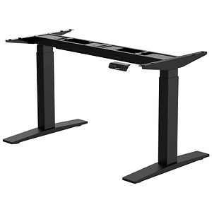 FlexiSpot E9 elektrisch höhenverstellbares Schreibtischgestell schwarz ohne Tischplatte, T-Fuß-Gestell schwarz 110,0 – 190,0 x 68,0 cm