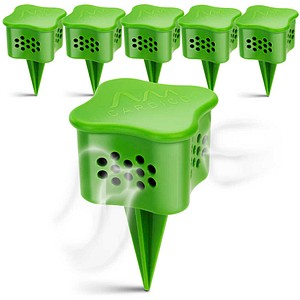 GARDIGO Schneckenabwehr grün, 6 St.