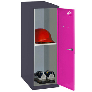 8425437116773 - Spind SIMONLOCKER DISM SINGLE anthrazit pink 8425437116773 1 Schließfach 300 x 500 x 915 cm 8425437116773 Simonrack