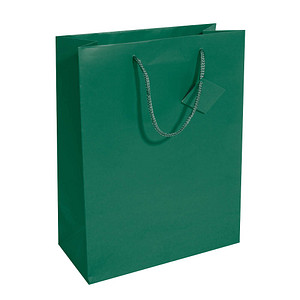 4004360797668 - Geschenktasche GT500 allgemein Kunststoffkordel mit Geschenkanhänger ohne 26cm x 33cm 4004360797668 5 Stück 4004360797668 - Geschenktasche GT500 allgemein Kunststoffkordel mit Geschenkanhänger ohne 26cm x 33cm 4004360797668 5 Stück