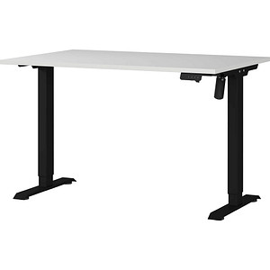 4005949802254 - Sitz-Steh-Schreibtisch Profi 30 8022-581 elektrisch höhenverstellbar  120x80cm (BxT) rechteckig lichtgrau   Schwarz 4005949