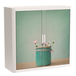 PAPERFLOW easyOffice Garden Factory Rollladenschrank 61102 2 Fachböden 110,0 x 41,5 x 104,0 cm
