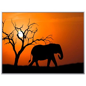 PAPERFLOW Wandbild Elefant
