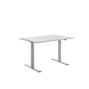 Topstar E-Table elektrisch höhenverstellbarer Schreibtisch lichtgrau rechteckig, T-Fuß-Gestell grau 120,0 x 80,0 cm