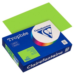 Clairefontaine Kopierpapier Trophée maigrün DIN A4 160 g/qm 250 Blatt