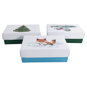 4056124091963 - Geschenkboxen Buntbox Weihnachts-Set M 3tlg 11 l - 170 x 110 x 60 cm weiß grün blau 4056124091963 - Geschenkboxen Buntbox Weihnachts-Set M 3tlg 11 l - 170 x 110 x 60 cm weiß grün blau