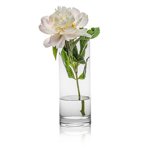 8581782191138 - Vase Ambiente transparent