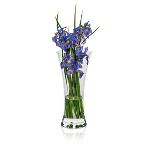 8581782191213 - Vase Ambiente transparent 8581782191213 - Vase Ambiente transparent
