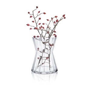 8581782324277 - Vase Ambiente transparent 8581782324277 - Vase Ambiente transparent