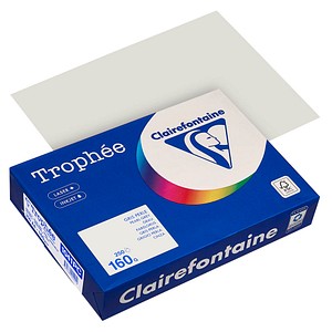 Clairefontaine Kopierpapier Trophee 1041PC grau A4 160g 3329680002010 Clairefontaine 250 Blatt
