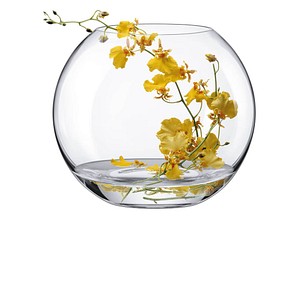 8581782191084 - Vase Ambiente transparent