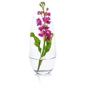 8581782191367 - Vase Ambiente transparent 8581782191367 - Vase Ambiente transparent