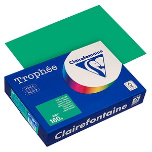Clairefontaine Kopierpapier Trophee 1019PC tannengrün A4 160g 3329680002799 Clairefontaine 250 Blatt