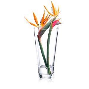 8581782191145 - Vase Ambiente transparent