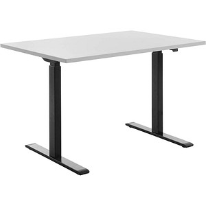 4014296873725 - Sitz-Steh-Schreibtisch E-Table TTS12080SG elektrisch höhenverstellbar 70-120cm (H) 120cmx80cm (BxT) rechteckig lichtgrau   S