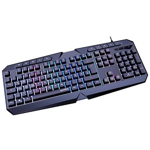 speedlink LUDICIUM RGB Rainbow Gaming-Tastatur schwarz