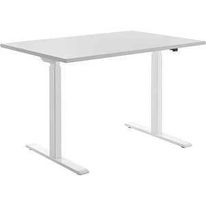 4014296873909 - Sitz-Steh-Schreibtisch E-Table TTS12080WG elektrisch höhenverstellbar 70-120cm (H) 120cmx80cm (BxT) rechteckig lichtgrau   W