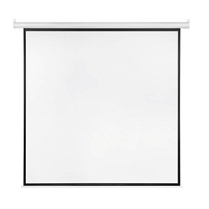 elektrische Rolloleinwand 200 x 200 cm Projektionsfläche