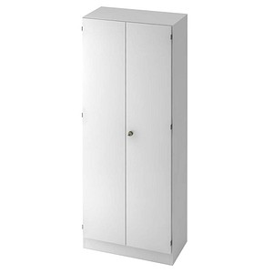 6100 Aktenschrank silber/weiß