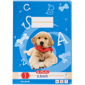 4008110283548 - Schulheft 10767242 xbook Lineatur 1   Schreiblern-Lineatur A4  80g blau 32 Blatt   64 Seiten 4008110283548 Herlitz