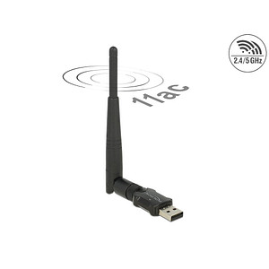 DeLOCK 12462 WLAN-Stick