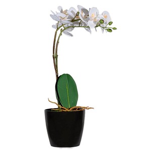 3660141963427 - Kunstpflanze meet® by Paperflow Weiße Orchidee inkl Kunststoff-Topf H 400 mm Seide Kunststoff 3660141963427 - Kunstpflanze meet® by Paperflow Weiße Orchidee inkl Kunststoff-Topf H 400 mm Seide Kunststoff