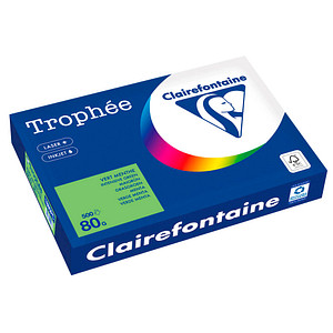 Clairefontaine Kopierpapier Trophée maigrün DIN A3 80 g/m² 500 Blatt