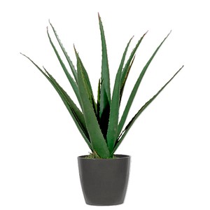 3660141963533 - Kunstpflanze meet® by Paperflow Aloe Vera inkl Kunststoff-Topf H 450 mm PE