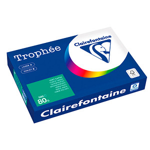 3329680189605 - Kopierpapier Trophée 1896C tannengrün A3 80g 3329680189605 500 Blatt 3329680189605 - Kopierpapier Trophée 1896C tannengrün A3 80g 3329680189605 500 Blatt