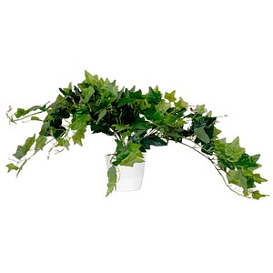 3660141963410 - Kunstpflanze meet® by Paperflow Efeu inkl Kunststoff-Topf H 800 mm PEVA