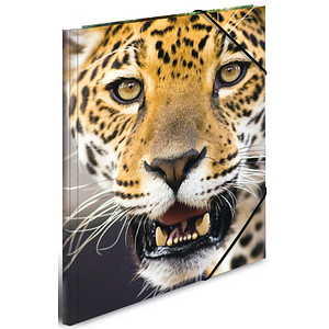 4008705898553 - Sammelmappen DIN A4 Leoparden 4008705898553 3 Stück