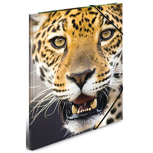 4008705898652 - Zeichenmappen DIN A3 Leoparden 4008705898652 3 Stück