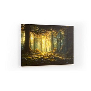 ALLboards Magnettafel CANVASboards 90,0 x 60,0 cm Märchen Wald