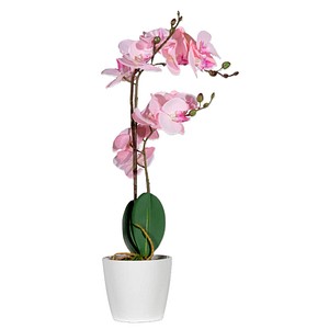 3660141963434 - Kunstpflanze PAORCH50 Orchidee ro 40cm 3660141963434 PAPERFLOW