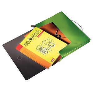 4002432114900 - Sammelmappe Solid 4568-10-50 A4 Kunststoff für ca 250 Blatt grün 4002432114900 Leitz 4002432114900 - Sammelmappe Solid 4568-10-50 A4 Kunststoff für ca 250 Blatt grün 4002432114900 Leitz