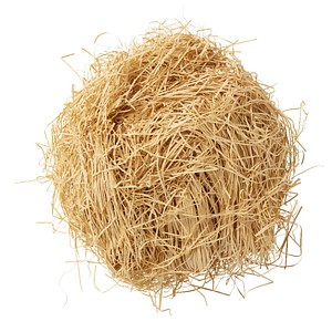 folia Ostergras Dekogras, 1 Beutel