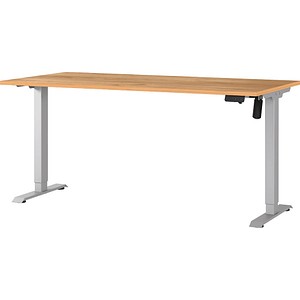 4005949802735 - GERMANIA Boras höhenverstellbarer Schreibtisch navarra-eiche rechteckig T-Fuß-Gestell silber 1600 x 800 cm 4005949802735 - GERMANIA Boras höhenverstellbarer Schreibtisch navarra-eiche rechteckig T-Fuß-Gestell silber 1600 x 800 cm