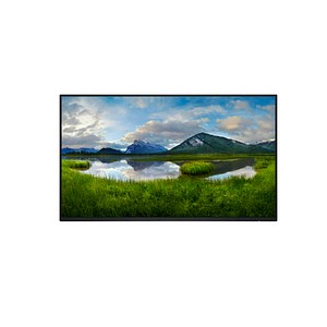 DELL P2425HEWO Monitor 61,0 cm (24,0 Zoll) schwarz