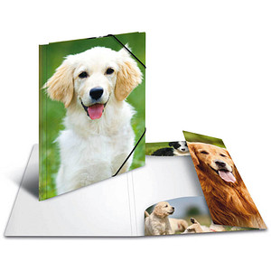4008705898591 - Sammelmappen DIN A4 Hunde 4008705898591 3 Stück 4008705898591 - Sammelmappen DIN A4 Hunde 4008705898591 3 Stück