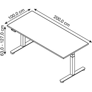 4032062307014 - HAMMERBACHER XDSM2E elektrisch höhenverstellbarer Schreibtisch nussbaum rechteckig T-Fuß-Gestell grau 2000 x 1000 cm