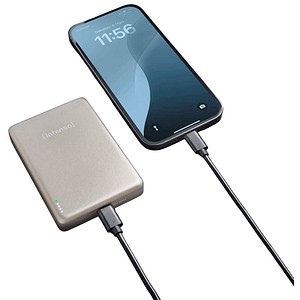 Intenso MW10000 Powerbank 10.000 mAh champagner