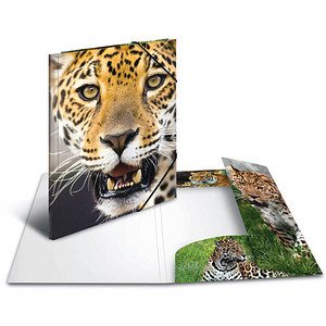4008705898553 - Sammelmappen DIN A4 Leoparden 4008705898553 3 Stück 4008705898553 - Sammelmappen DIN A4 Leoparden 4008705898553 3 Stück