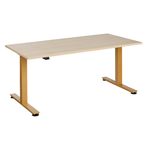 4032062320693 - HAMMERBACHER XMST16 elektrisch höhenverstellbarer Schreibtisch eiche rechteckig T-Fuß-Gestell gold 1600 x 800 cm 4032062320693 - HAMMERBACHER XMST16 elektrisch höhenverstellbarer Schreibtisch eiche rechteckig T-Fuß-Gestell gold 1600 x 800 cm