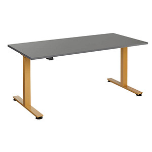 4032062320686 - HAMMERBACHER XMST16 elektrisch höhenverstellbarer Schreibtisch grafit rechteckig T-Fuß-Gestell gold 1600 x 800 cm 4032062320686 - HAMMERBACHER XMST16 elektrisch höhenverstellbarer Schreibtisch grafit rechteckig T-Fuß-Gestell gold 1600 x 800 cm