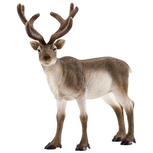 Image of Schleich Reindeer