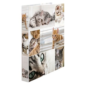 4008705194280 - HERMA 19428 - Conventional file folder - Pappe - Mehrfarben - A4 - Porträt - 35 cm (19428)
