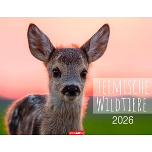 9783839902653 - Monats-Wandkalender Heimische Wildtiere 2026 9783839902653 - Monats-Wandkalender Heimische Wildtiere 2026