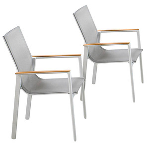 4041908134219 - Gartenstühle mit Armlehnen Venice hellgrau Metall 2 St
