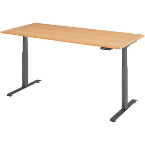 4032062320433 - Base Lite elektrisch höhenverstellbarer Schreibtisch buche rechteckig T-Fuß-Gestell grau 1800 x 800 cm